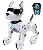 Top Race Ferngesteuertes Roboterhund mit Licht und Sound, Interaktives Hundespielzeug, Welpen Roboter tanzt intelligent zum Beat, elektronisches Haustier für Kinder von 3,4,5,6,7,8,9