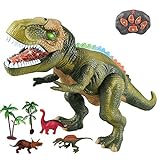 WISHTIME Fernbedienung Dinosaurier Electric Toy Kinder RC Tierspielzeug LED Leuchten Dinosaurier Gehen und Brüllen Realistische T-Rex Roboter Spielzeug Für Kleinkinder Jungen Mädchen