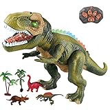 WISHTIME Fernbedienung Dinosaurier Electric Toy Kinder RC Tierspielzeug LED Leuchten Dinosaurier Gehen und Brüllen Realistische T-Rex Roboter Spielzeug Für Kleinkinder Jungen Mädchen
