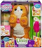 FurReal Hasbro Friends A2003E36 - Daisy, Mein Verspieltes Kätzchen, Plüsch